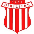 DİKİLİTAŞ SPOR